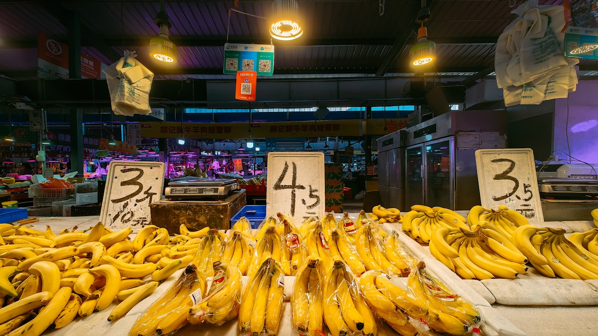Journal alimentaire photo : pourquoi ça change tout pour vos patients